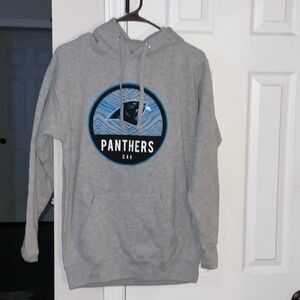 Carolina Panthers Team Apparel Light Gray  Hoodie